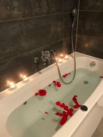 Apartment Lungomare プーラ エクステリア 写真
